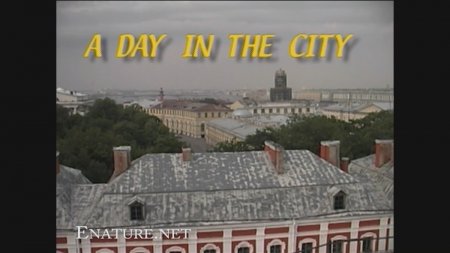 A Day In The City HD (family nudism, family naturism, young naturism, naked girls, naked boys) A Day In The City HD (family nudism, family naturism, young naturism, naked girls, naked boys)
