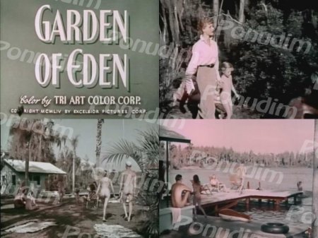 Garden of Eden / Райский сад
