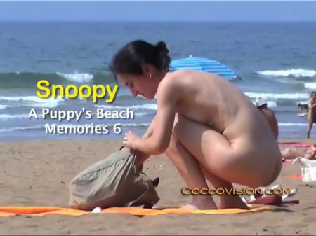 Snoopy`s A Puppy`s Beach Memories 6