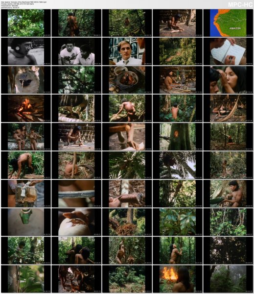 Nomads of the Rainforest PBS NOVA 1984