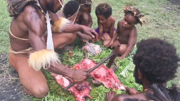 Naked tribes. Feast of the pig in the Dani tribe.
