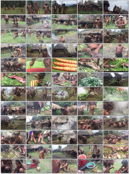 Naked tribes. Feast of the pig in the Dani tribe.