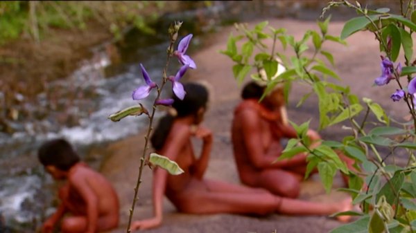 Wild tribe of the Amazon