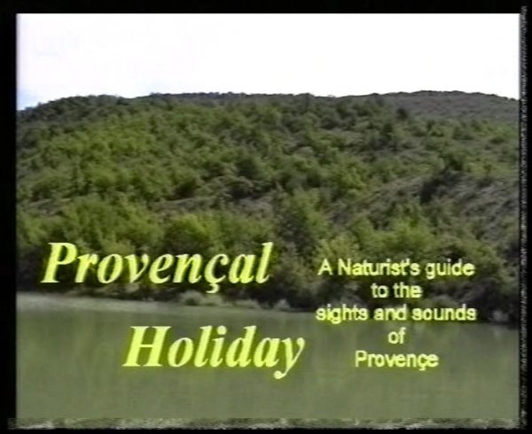 Provencal holiday