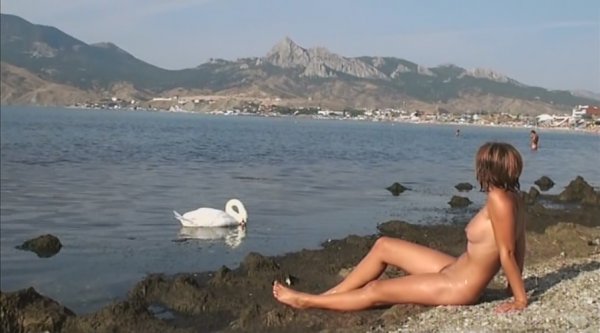 Nudists and naturists of Koktebel and Fox Bay (swan!)