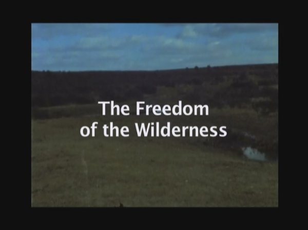The Freedom of the Wilderness