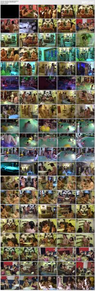 One Day At The Castle Fantasia (family nudism, family naturism, young naturism, naked girls, naked boys)