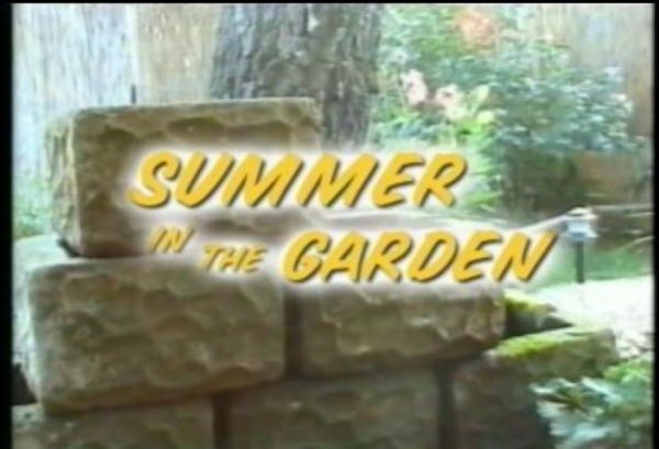 Summer In The Garden
