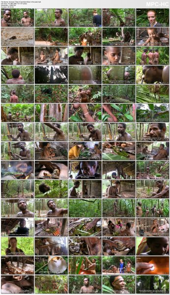 Korowai Tribe # Cannibal tribes in the past