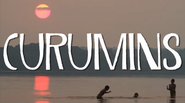 Curumins