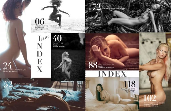VOLO (Nude Art Magazine) #22 - 2015 - 134 Pages Of Art