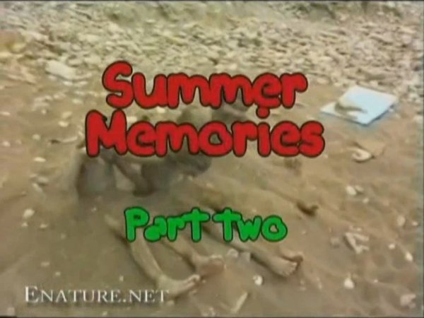 Summer Memories 2 (family nudism, family naturism, young naturism, naked boys, naked girls)