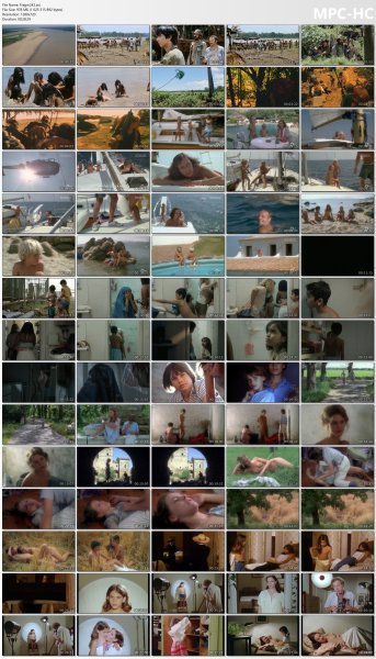 Сollection of fragments #242