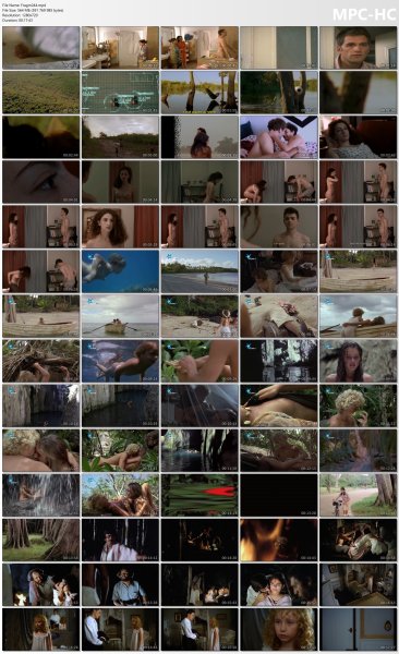 ollection of fragments #244