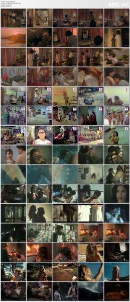 ollection of fragments #258