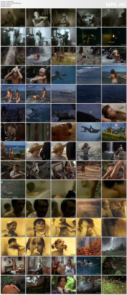 ollection of fragments #266