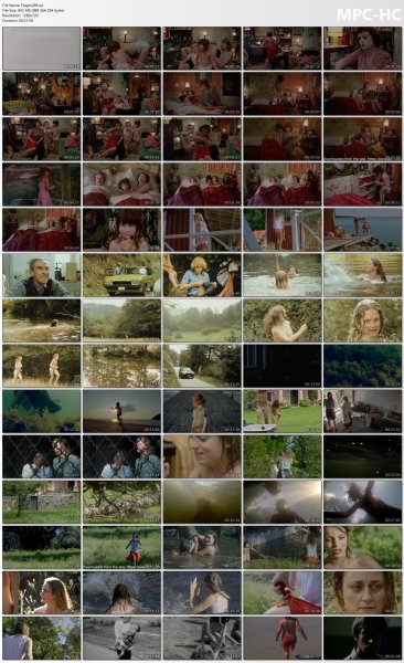 ollection of fragments #269