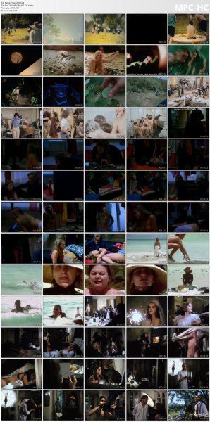 ollection of fragments #270