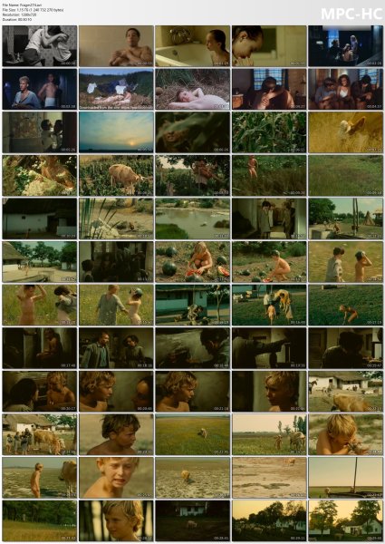 �ollection of fragments #274