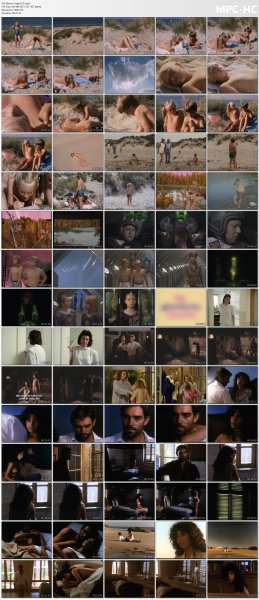 �ollection of fragments #277