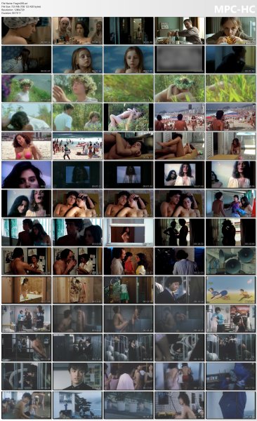 �ollection of fragments #283