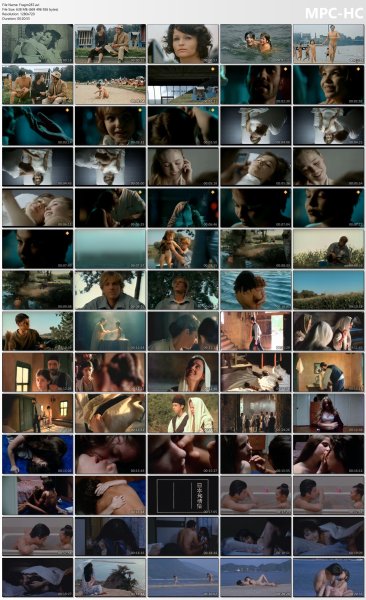 �ollection of fragments #287