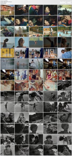 �ollection of fragments #288