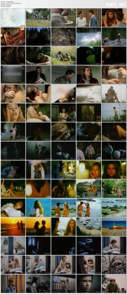 �ollection of fragments #290