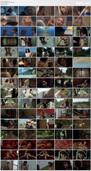 �ollection of fragments #291