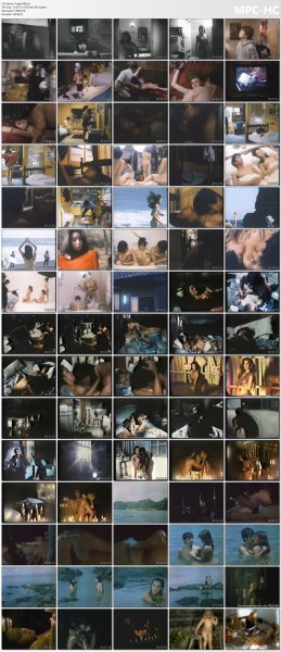 �ollection of fragments #296