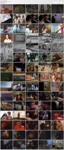 �ollection of fragments #300