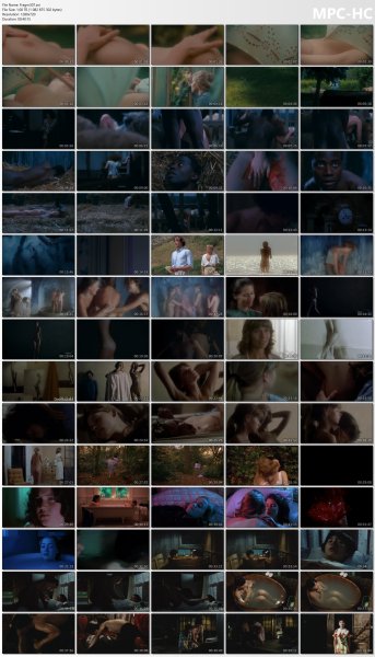 �ollection of fragments #307