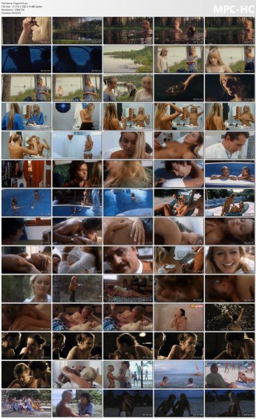 �ollection of fragments #313