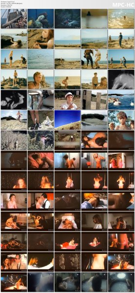 �ollection of fragments #314